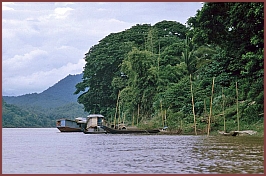 Am Mekong