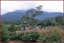 Ebene der Tonkrge - Muang Khwan (Muong Khoun)