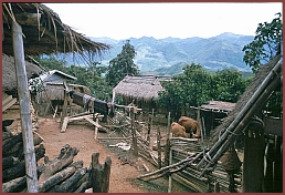 Bako -  Dorf der Hmong