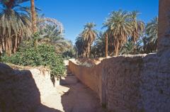 Ghadames:  Altstadt - Grten