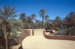 Ghadames:  Altstadt