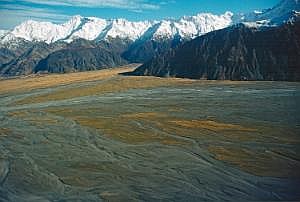 nz80_81_440
