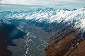 nz80_81_442