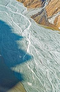 nz80_81_443