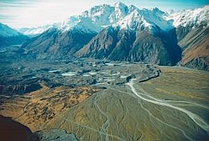 nz80_81_444
