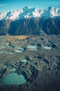 nz80_81_445