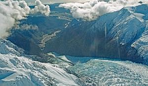 nz80_81_446