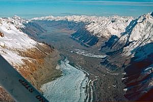 nz80_81_448