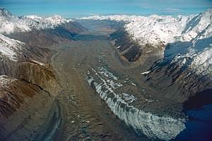nz80_81_449