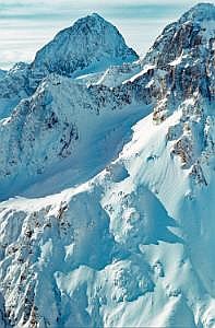nz80_81_452