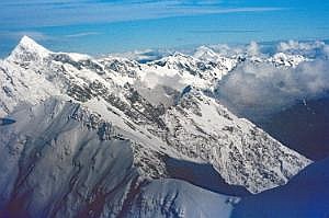 nz80_81_454