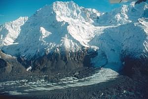 nz80_81_455