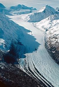 nz80_81_456