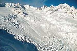 nz80_81_460
