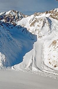 nz80_81_461