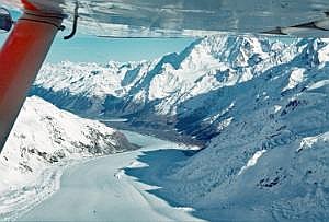 nz80_81_462