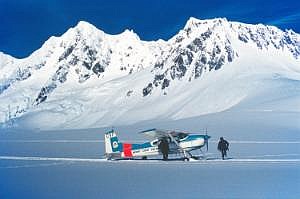 nz80_81_466