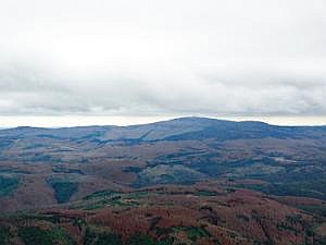 P1380899