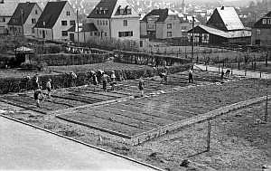 1953_schulgarten_n_02