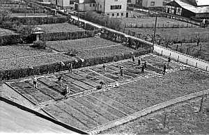 1953_schulgarten_n_03