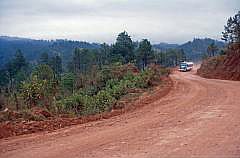 Auf dem Weg nach Palenque