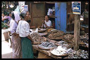 Bagan: Markt in Nyaung-Oo - Fischverkauf