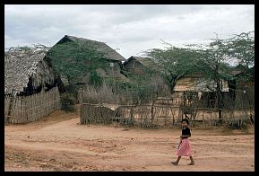 Bagan-Minanthu: Huser