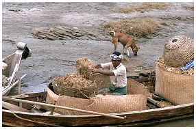 Auf dem Irrawaddy: Beobachtungen am Ufer