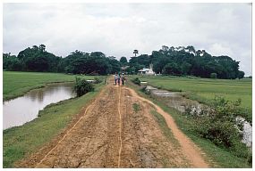 Strae zum Dorf