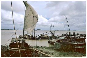 Boote am Ufer