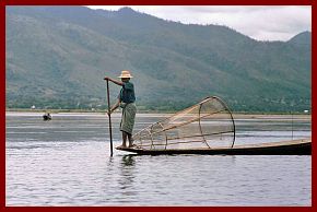 Inle-See: Fischer