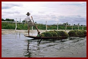 Inle-See: Einbein-Ruderer