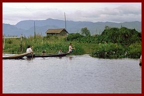 Inle-See: Schwimmende Grten