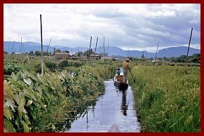 Inle-See: Schwimmende Grten