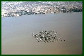 Luftaufnahme zwischen Bagan und Mandalay - Hochwasser am Irrawaddy