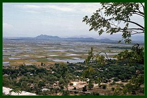 Mandalay-Hill -  Blick auf die Reisfelder der Umgebung