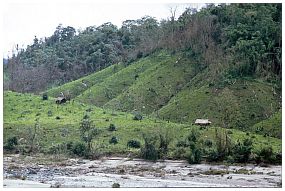 Am Zusammenfluss der Flsse Me Hka und Mali Hka zum Irrawaddy - Brandrodung