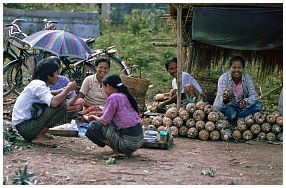 Umgebung von Myitkyina - Ananas-Verkauf
