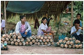 Umgebung von Myitkyina - Ananas-Verkauf