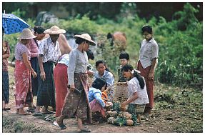 Umgebung von Myitkyina - Ananas-Verkauf