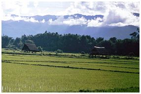 Im Zug nach Mandalay: Blick aus dem Fenster