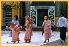 Yangon: Shwedagon Pagode - Nonnen