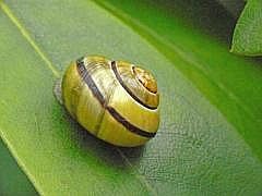P1000158