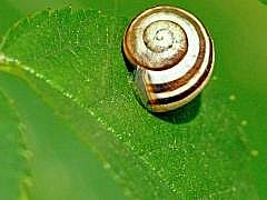 P1000225