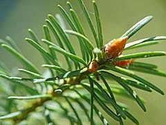 P1050679