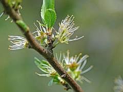 P1050718