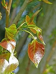 P1050793