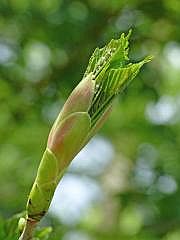 P1050820