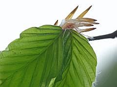 P1050859