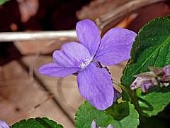 P1050872